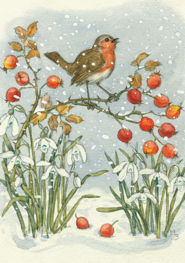 Robin and Rosehips 