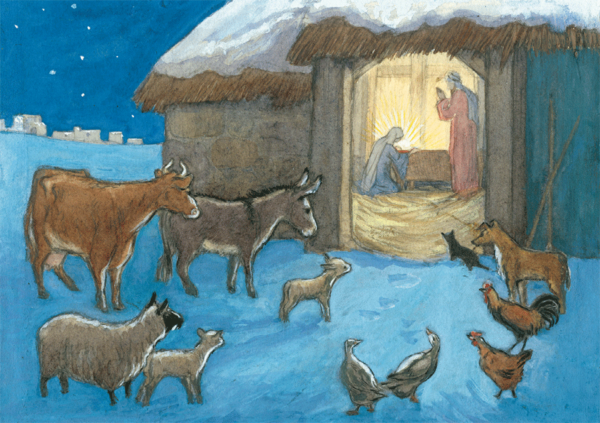 Animals Nativity Scene 